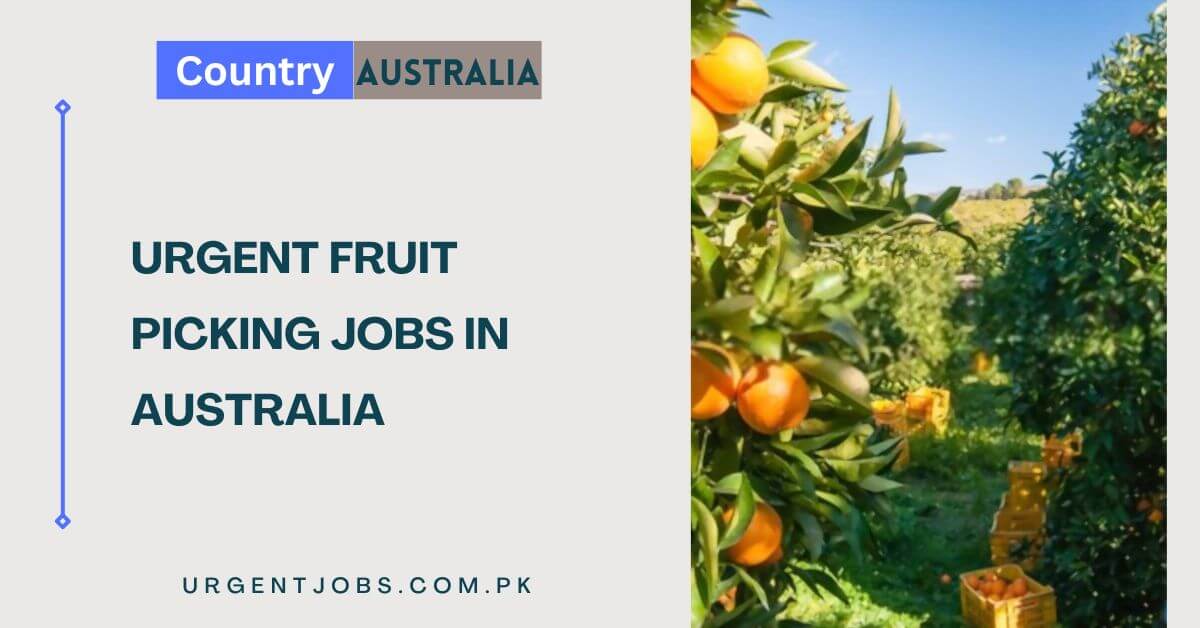 Urgent Fruit Picking Jobs in Australia