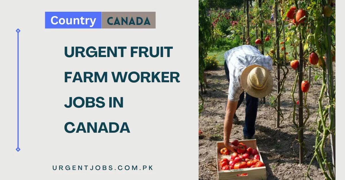 Urgent Fruit Farm Worker Jobs in Canada
