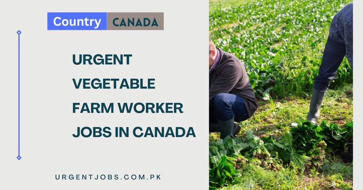 Urgent Vegetable Farm Worker Jobs in Canada