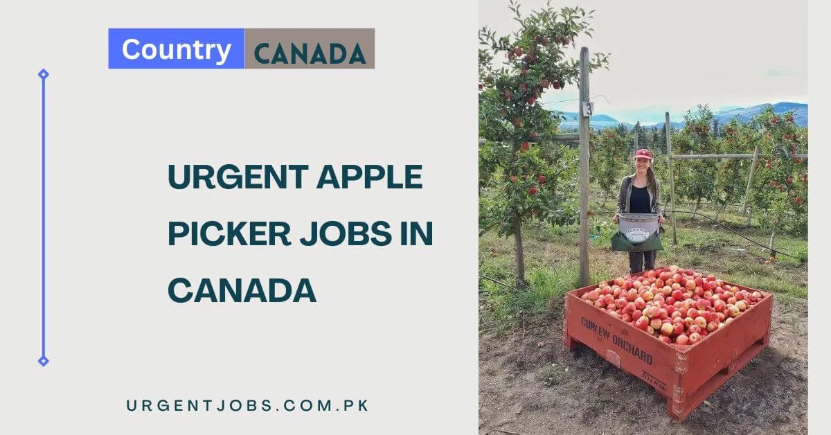 Urgent Apple Picker Jobs in Canada