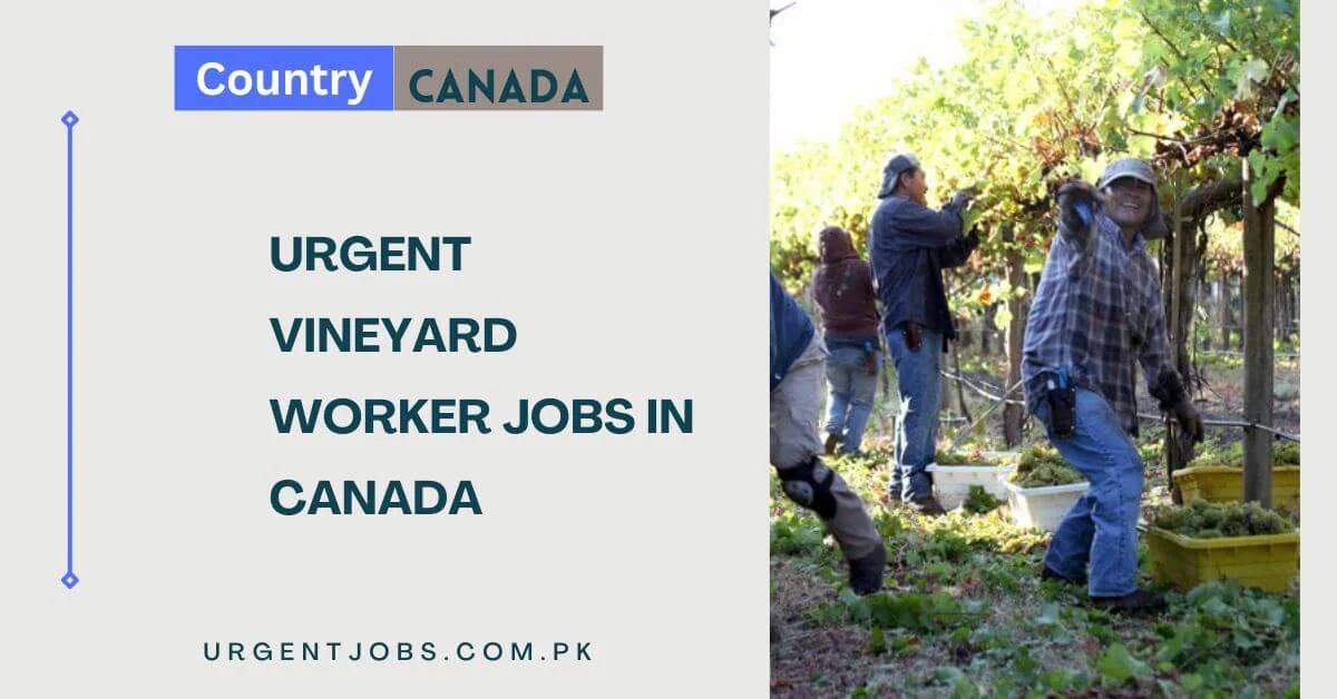 Urgent Vineyard Worker Jobs in Canada