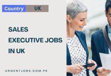 Sales Executive Jobs in UK