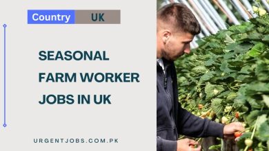 Seasonal Farm Worker Jobs in UK