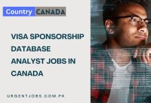 Visa Sponsorship Database Analyst Jobs in Canada
